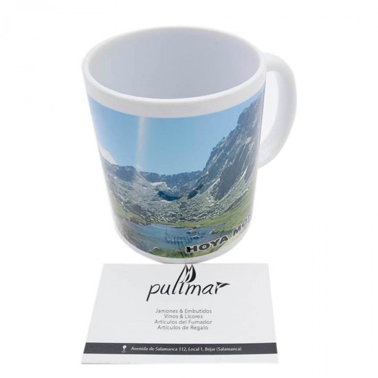 Taza de porcelana de Hoya Moros